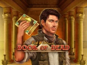 book of dead 1xslot